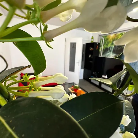 Les Domes Du Parc 4e App T3 Et T1 Proche De Toutes Commodites Apartment *
