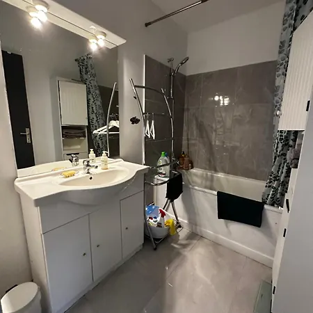 Apartment Les Domes Du Parc 4e App T3 Et T1 Proche De Toutes Commodites
