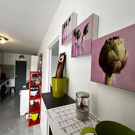 Apartment Les Domes Du Parc 4e App T3 Et T1 Proche De Toutes Commodites *