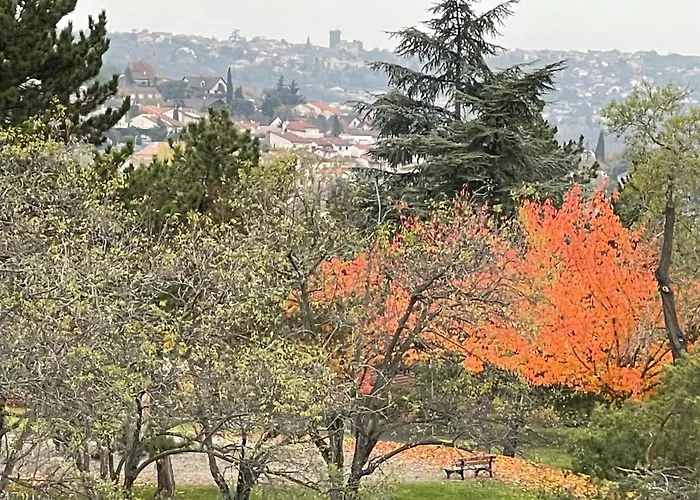 Les Domes Du Parc 4e App T3 Et T1 Proche De Toutes Commodites Apartment *