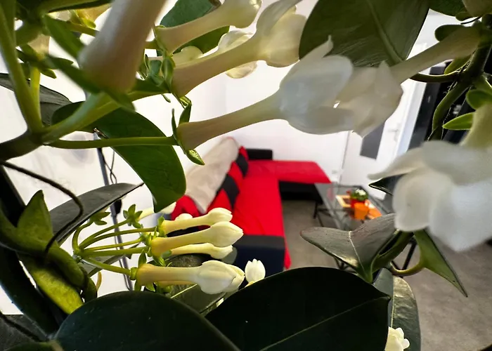 Les Domes Du Parc 4e App T3 Et T1 Proche De Toutes Commodites Apartment *