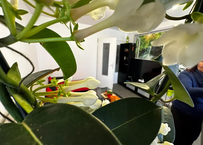 Les Domes Du Parc 4e App T3 Et T1 Proche De Toutes Commodites Apartment *