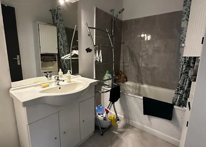 Apartment Les Domes Du Parc 4e App T3 Et T1 Proche De Toutes Commodites