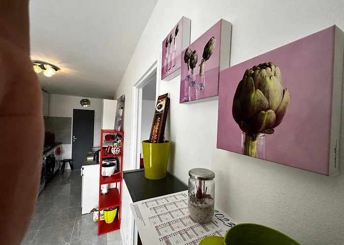 Apartment Les Domes Du Parc 4e App T3 Et T1 Proche De Toutes Commodites *