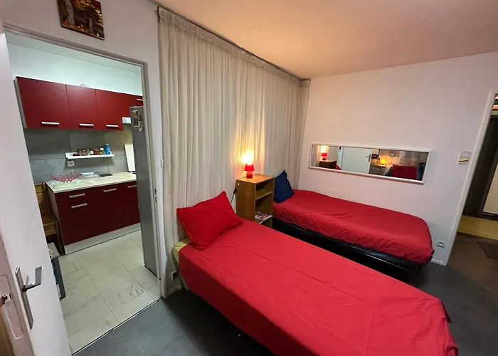 Les Domes Du Parc 4e App T3 Et T1 Proche De Toutes Commodites Apartment