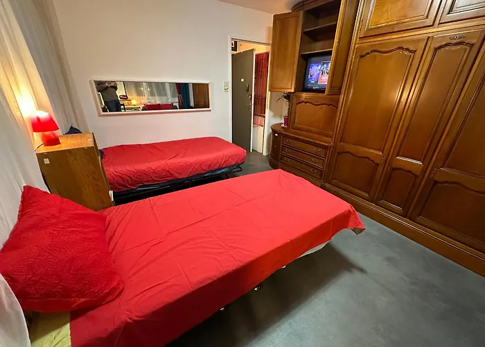 Les Domes Du Parc 4e App T3 Et T1 Proche De Toutes Commodites Apartment *